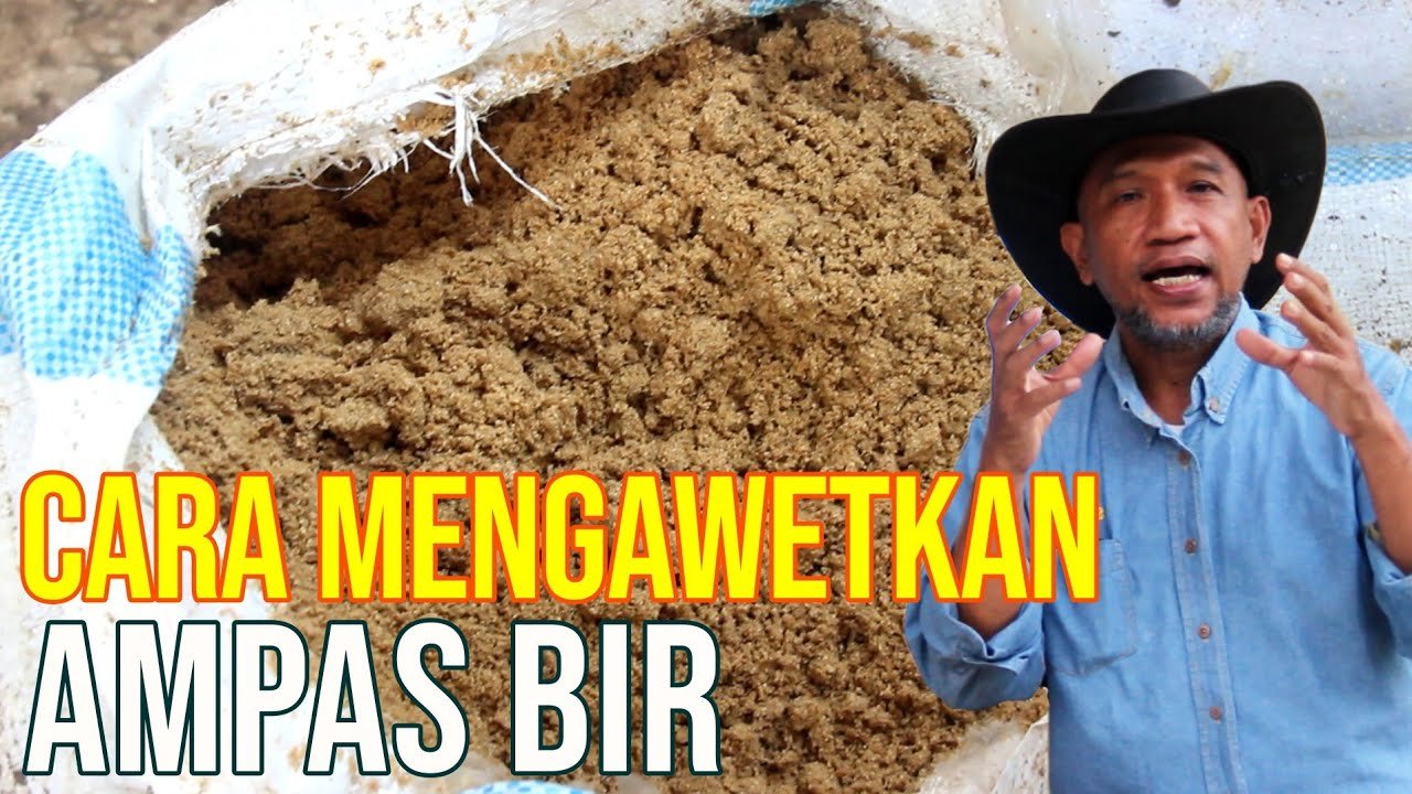 
                                 Pakan-Ternak-Ampas-Bir-Kemasan-Karung-Hingga-Tong-Dirigen